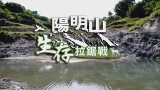零流浪 給牠一個家｜陽明山 生存拉鋸戰｜華視新聞雜誌