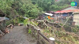 宜蘭大同鄉颳強風 樹木倒塌砸中2民宅