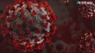 BA.5潛伏期「僅2天」 重症醫喊: 中秋烤肉避開4種人！