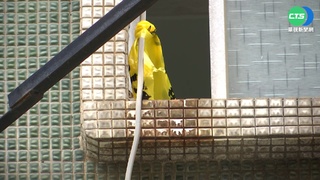 永和分屍"兄涉重嫌" 11年前曾持刀恐嚇死者