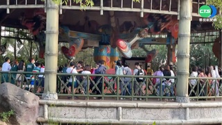 中秋連假搶遊客! 各地樂園祭出門票優惠