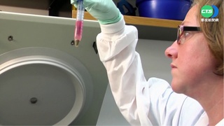 小兒麻痺現蹤美國 紐約州進入緊急狀態