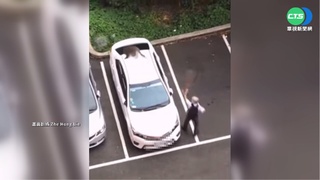 高雄教授揮掃把趕猴 網笑:呂布大戰孫悟空