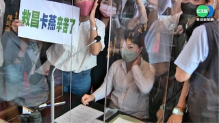 不滿狼師案處理不當 綠議員杯葛盧秀燕報告