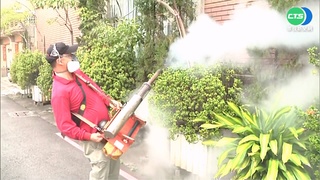 高雄本土登革熱再+1 群聚案累計10人感染