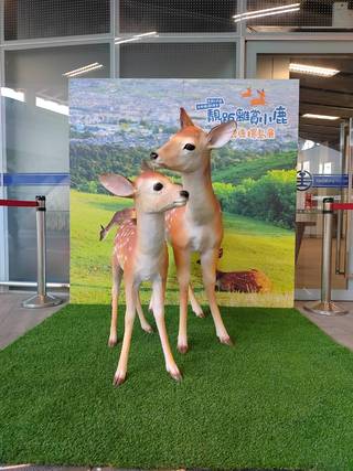 台日友好！台鐵限量「電車便當」今開賣 還能遇見奈良鹿