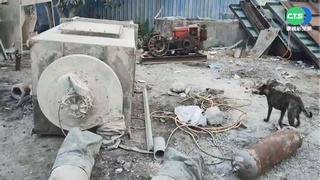 6.8強震襲! 花蓮玉里水泥廠1工人死亡