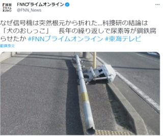 這根較好用！號誌桿被「尿到斷裂」 日警：狗狗獨愛它