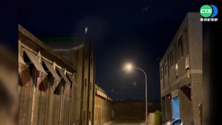 彰化伸港出現"蝙蝠巷" 蝙蝠齊飛人人稱奇