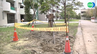 舉重金牌搬樹遭壓癱 更一審判國賠1633萬