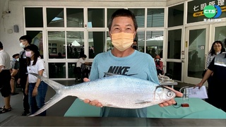 台南虱目魚文化季開跑 七股辦"虱目魚選美"