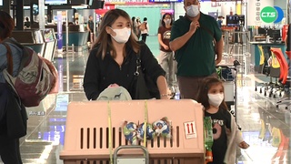 取消觀光禁團令! 旅行社開賣團體旅遊