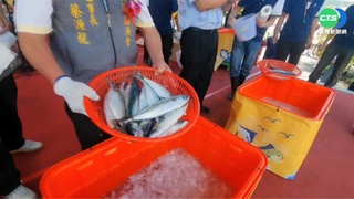 南方澳鯖魚節登場 "冰桶抓魚"通通帶回家