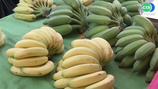 高雄香蕉文化節熱鬧登場 和民眾搏"蕉"情