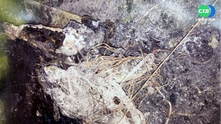 火災釀鄰婦亡獲判無罪 家屬遭討補償金加息返還