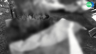 泰國幼兒園爆槍擊至少34死 槍手自戕