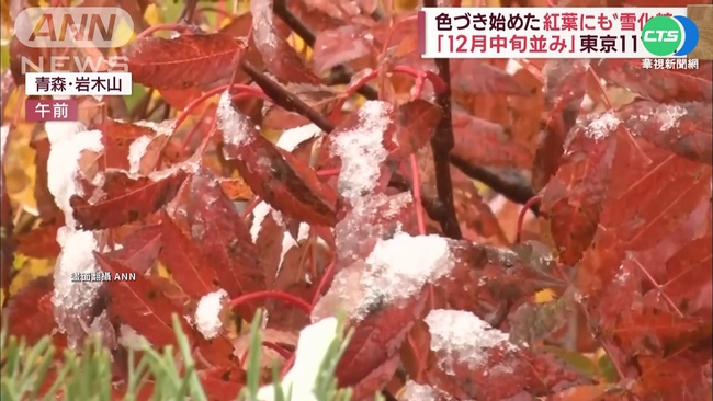 日本各地一夕入冬! 東京6號降溫至11度 | 華視新聞