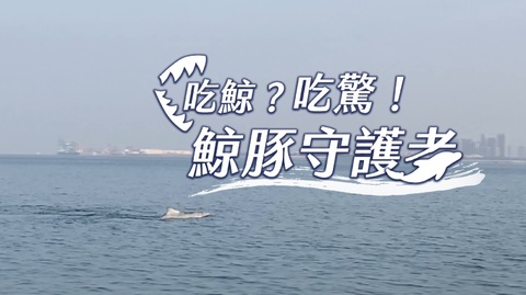 血色海洋 當海豚端上桌｜鯨豚守護者｜華視新聞雜誌