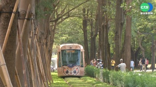 搶拍輕軌"龍貓隧道"! 遊客闖軌道區挨罰