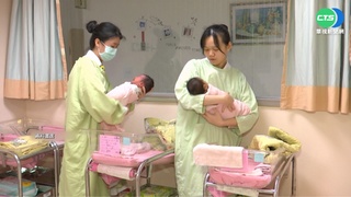生育率低+虎年影響 "國慶寶寶"變少了