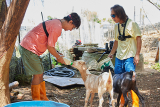 實境真人秀《歡迎光臨-等你來家1》健志與洋蔥、范少勳6點起床體驗東海 尤秋興靠春風當台語翻譯