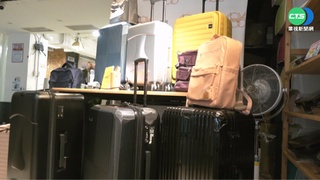 樂迎邊境解封! 行李箱.旅行用品需求飆升