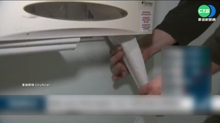 俄國禁出口樺樹 "紙漿荒"恐爆全球衛生紙之亂