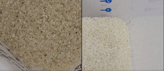 打開米袋見「米蟲宗親會」嚇壞一票人 農委會建議這樣做