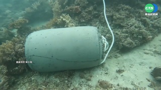 上百公斤水泥塊砸珊瑚礁 墾管處遭批壞示範