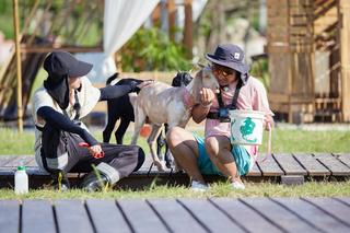 《歡迎光臨-等你來家1》高溫40度做瑜伽有夠瘋！春風難受自爆隱疾 大廚顏志琳拜師學藝「太子爺粥」敲打石鮔直呼：「煮菜煮到曬傷！」