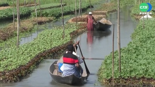 孟加拉1年平均淹10月! 造"漂浮農場"拚生計
