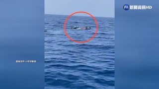 危險! 小琉球漁船作業海域"自由潛水客"出沒