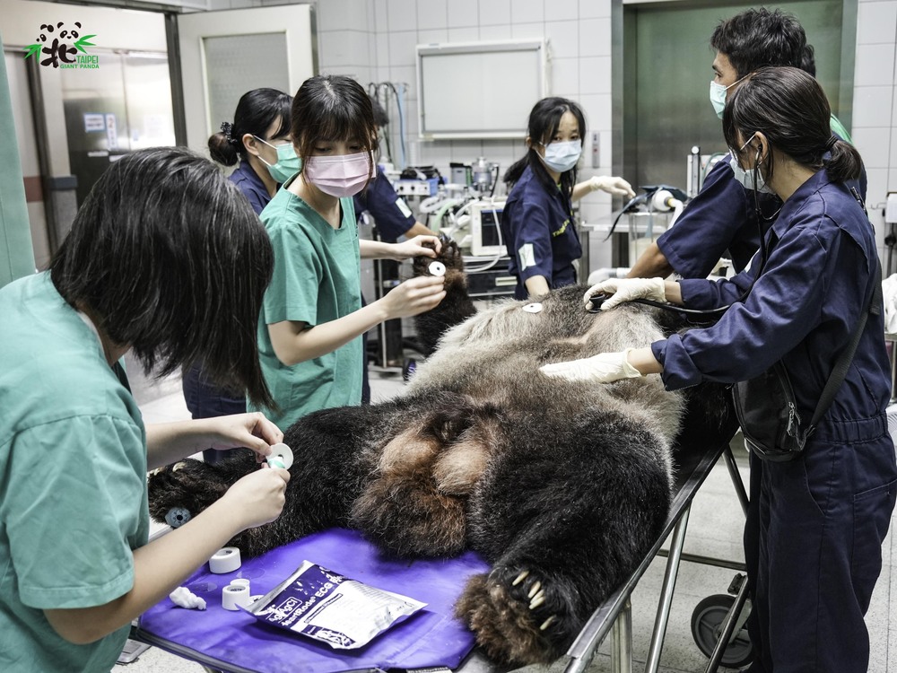 圖／動物園提供