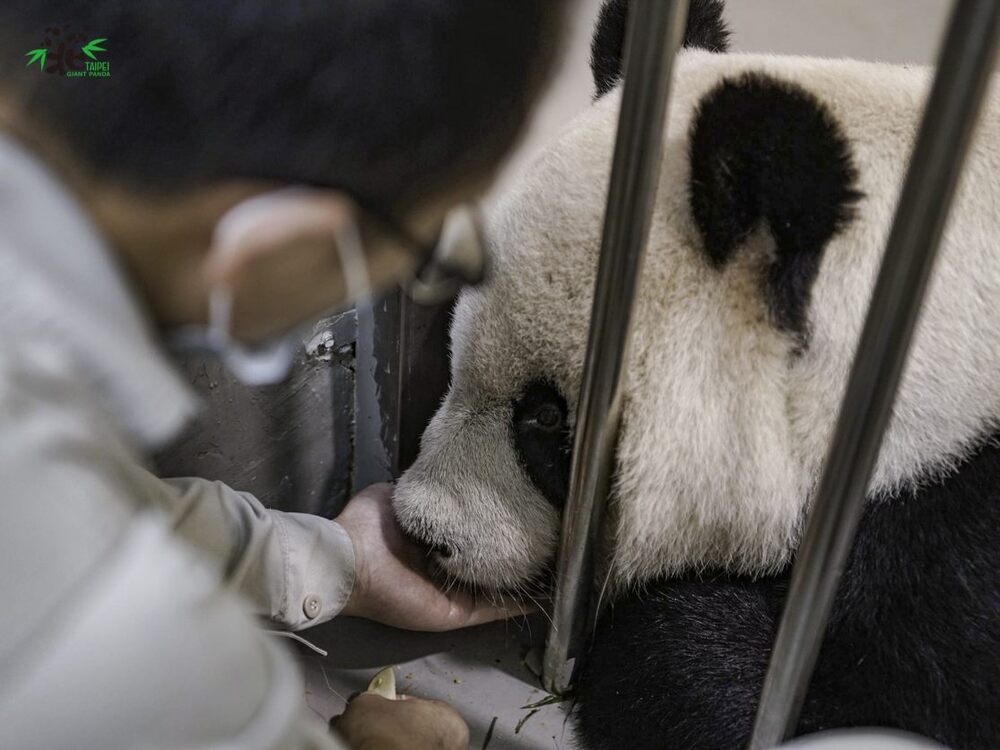 圖／動物園提供