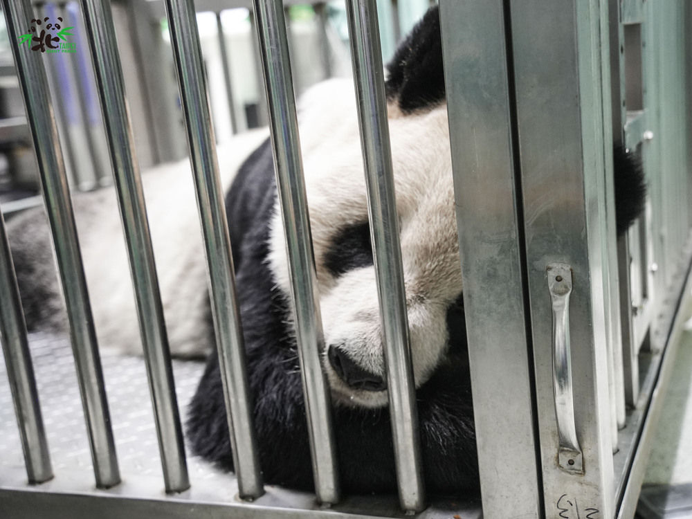 圖／動物園提供