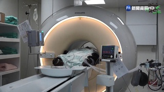 "團團"病況沒好轉! 再赴台大接受MRI檢查