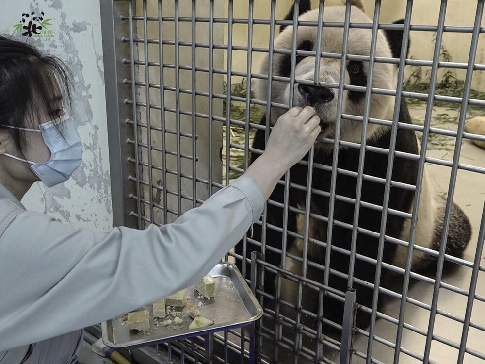 圖／動物園提供