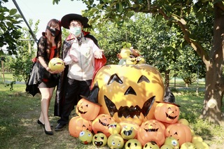 好有本土味！麻豆大白柚取代南瓜 黃偉哲變裝現身慶萬聖