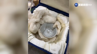 故宮"3國寶"毀損總價逾25億? 院方:絕對更低