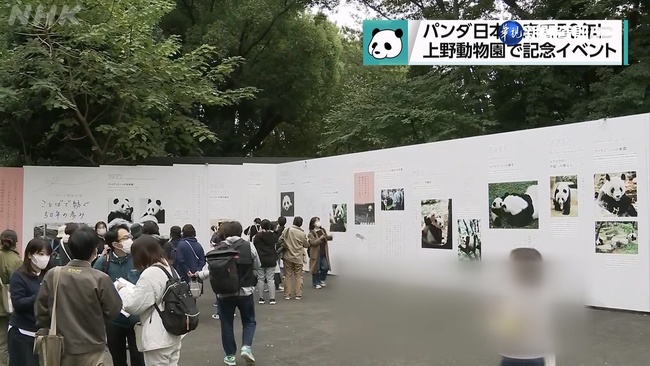 上野動物園迎貓熊50年 舉辦盛大慶祝活動 | 華視新聞