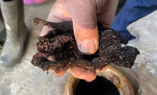 祖厝翻出「這物」羨煞網 內行人搶幫處理