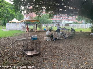 愛媽公園旁送養犬貓 每隻3千醫療費 遭動保處開罰10萬元