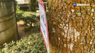 山友"掛標牌"鋼釘釘牛樟 當地園主氣炸