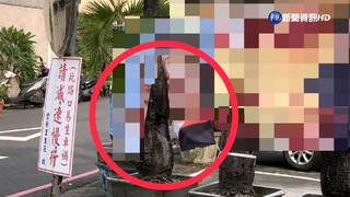 機車男割選舉旗幟觸法 逃不過鷹眼成鐵證