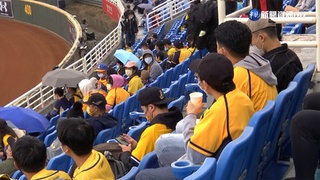 台灣大賽G1登場 "10號隊友"大戰"百萬象迷"