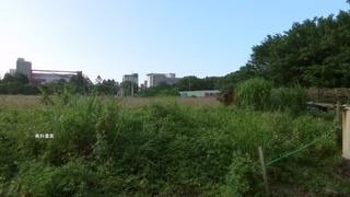 蔡適應替黑道施壓國防部? 黃國昌曝錄音檔