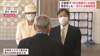 日本德仁天皇"攝護腺肥大" 將做切片檢查