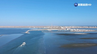 熱浪襲擊地中海 海水高溫影響漁獲.生態