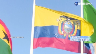 世足A組看好荷蘭.塞內出線 卡厄"有得拚"