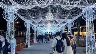 新北耶誕城「冰晶大道」神似靈堂？　網瘋傳：純白莊嚴